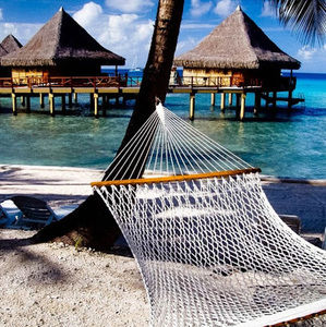 Meet your Posher, Kendall